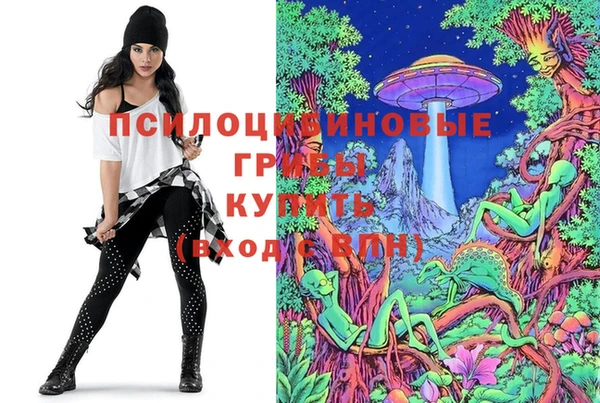 винт Краснослободск