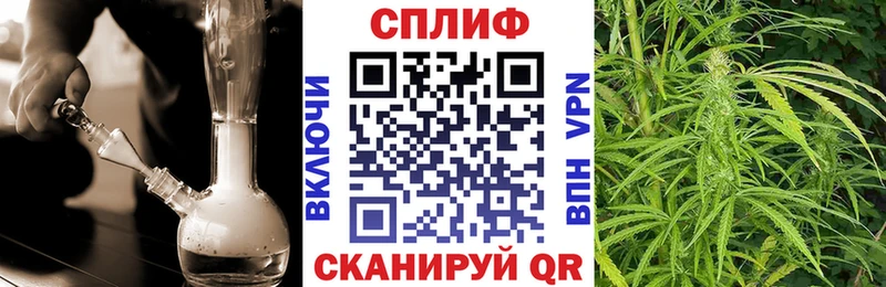 МАРИХУАНА сатива  Лангепас 